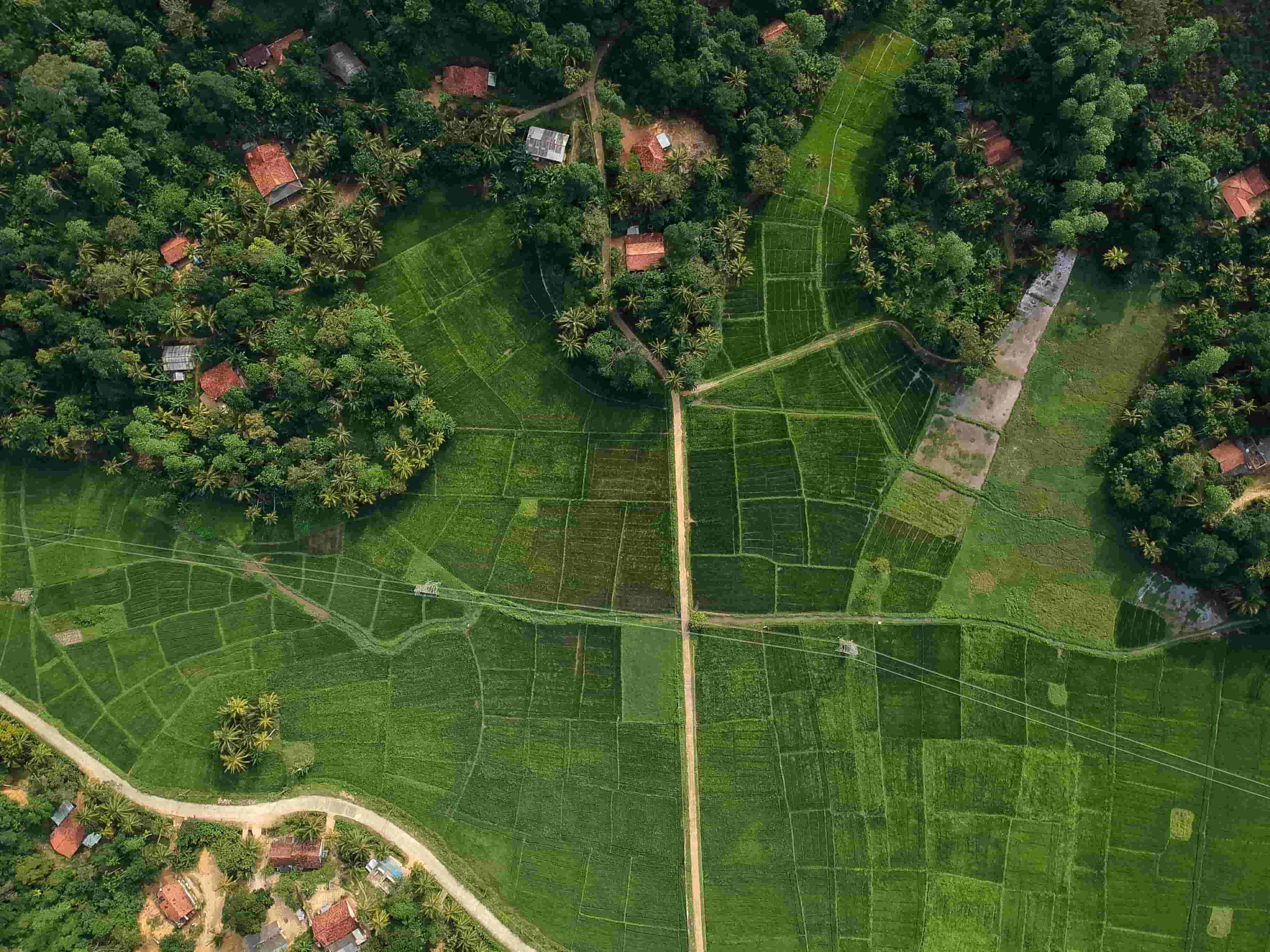 Beautiful Sri Lankan landscape