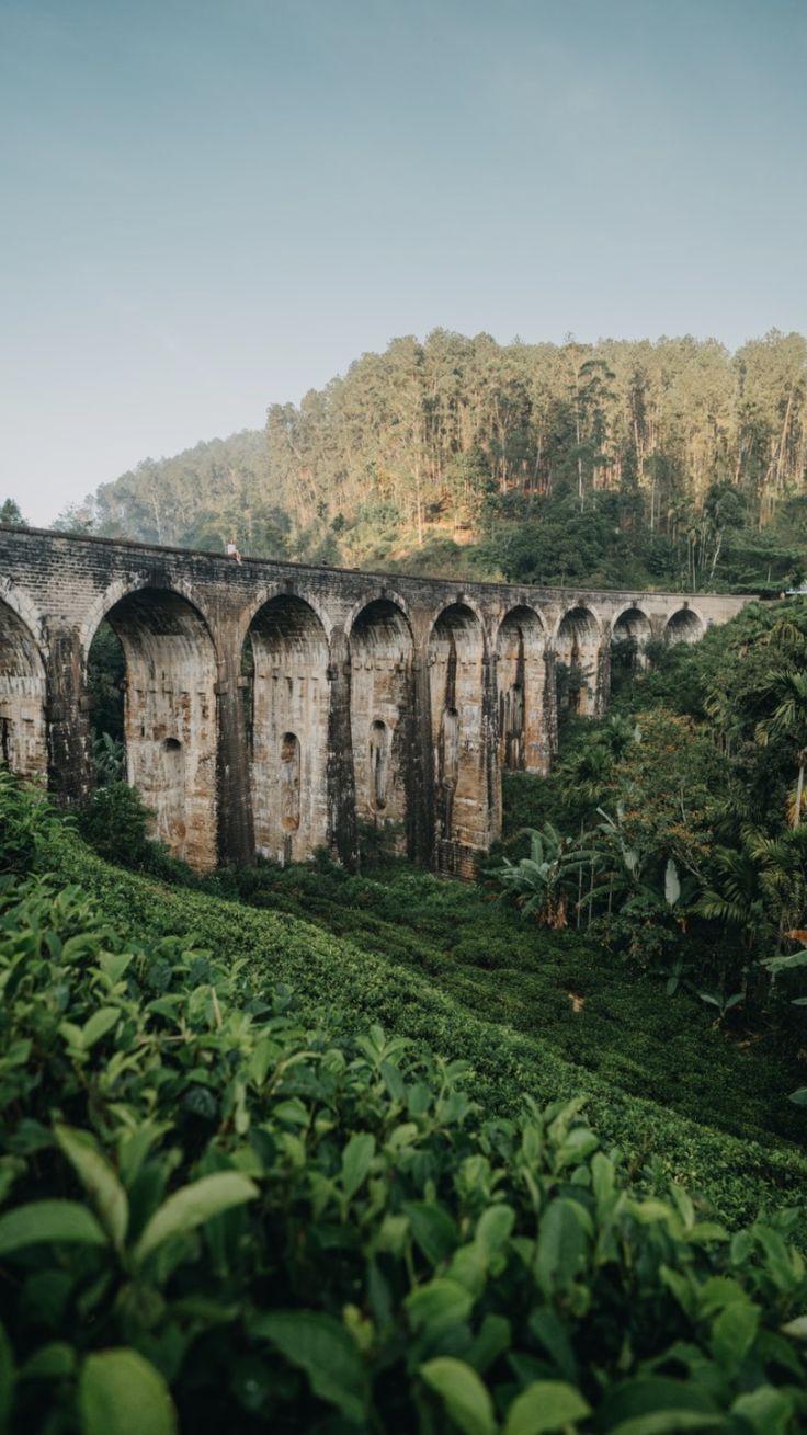 ninearch bridge in ella