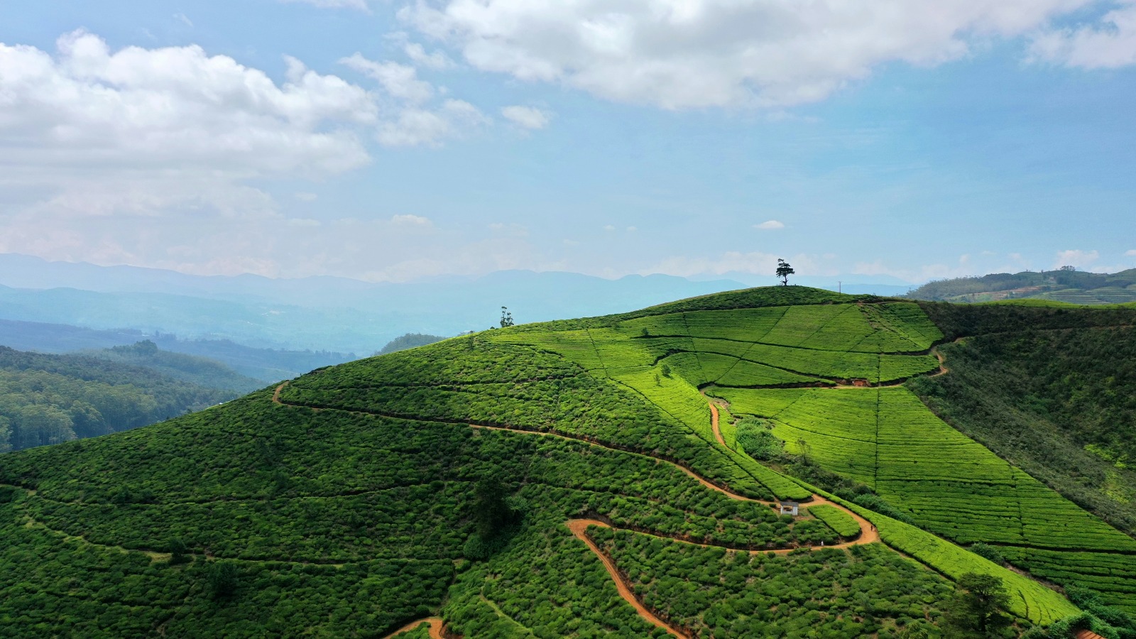 South Coast, Sri Lanka